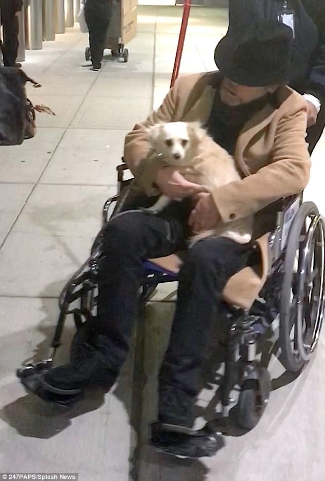 Mark Hamill apareceu em uma cadeira de rodas, aparentemente debilitado.