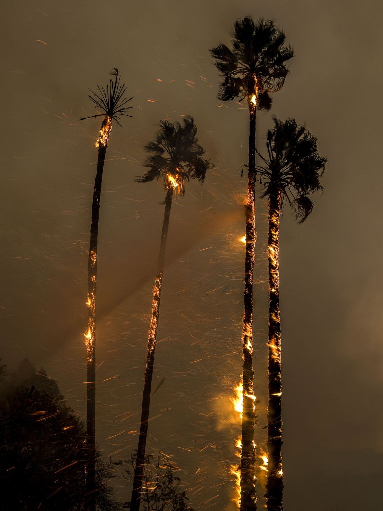 Thomas fire burns in Ventura County, California, Ojai, USA - 05 Dec 2017