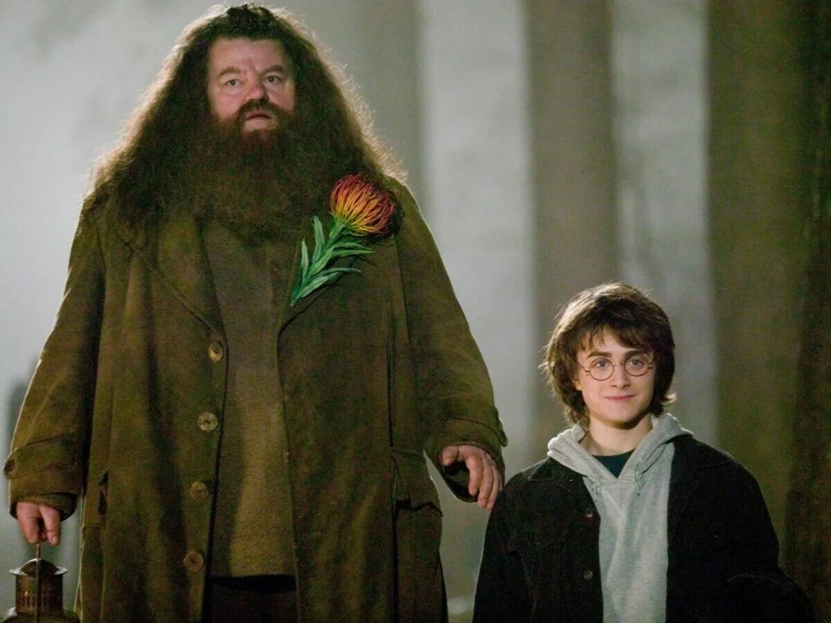 Robbie Coltrane e Daniel Radcliffe em Harry Potter