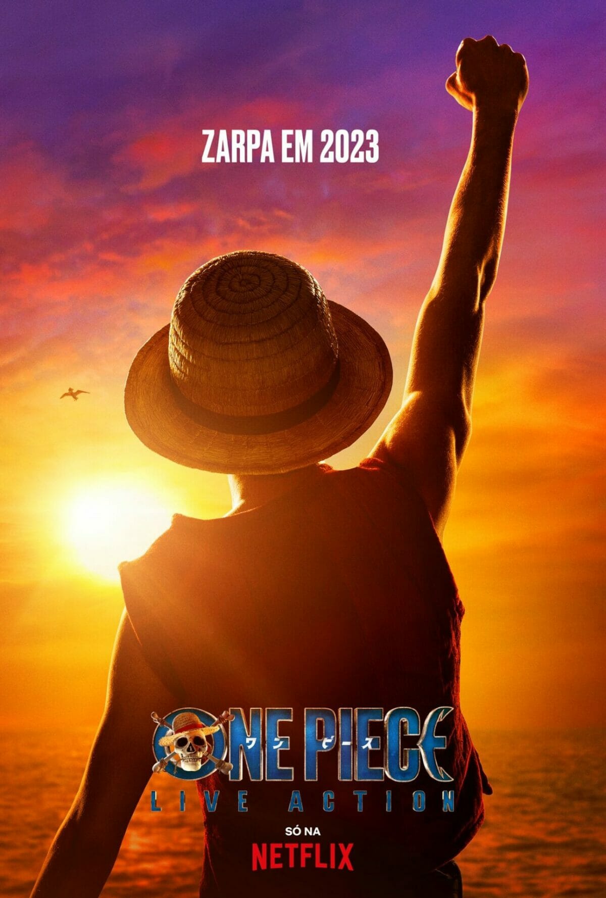 TikTok Star Taz Shows Off Epic One Piece Poster Collection