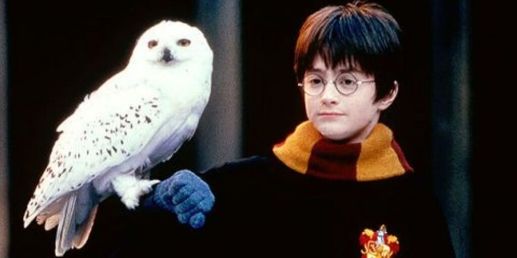 Harry Potter e Hedwig