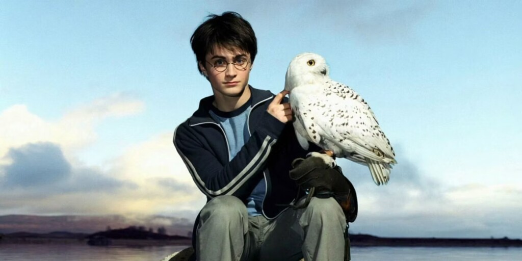 Harry Potter e sua coruja, Hedwig