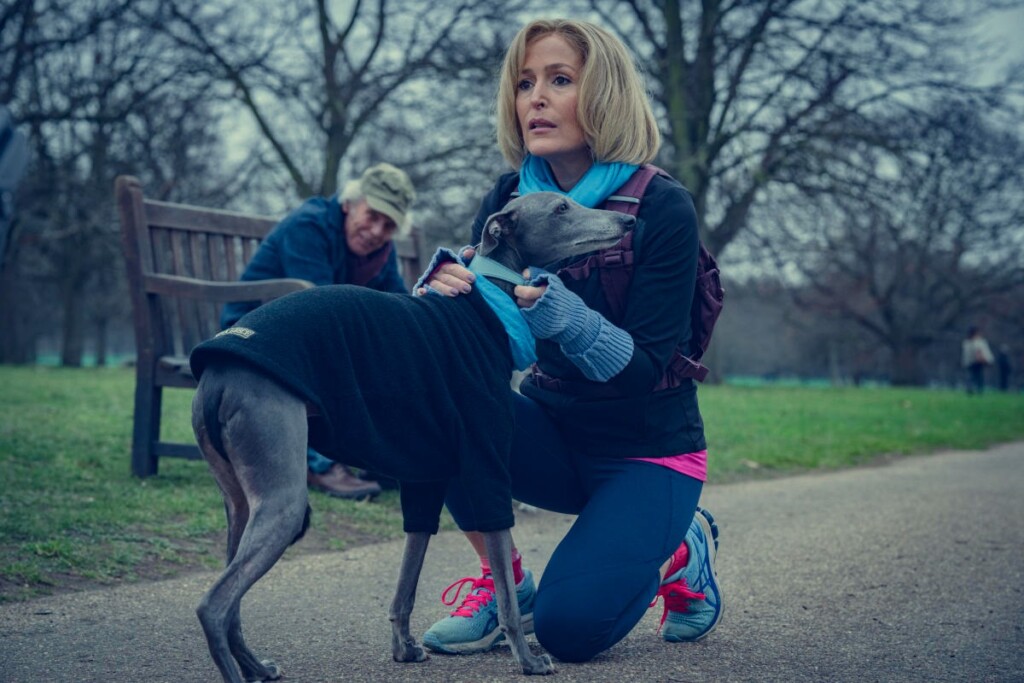 Gillian Anderson como Emily Maitlis em A Entrevista