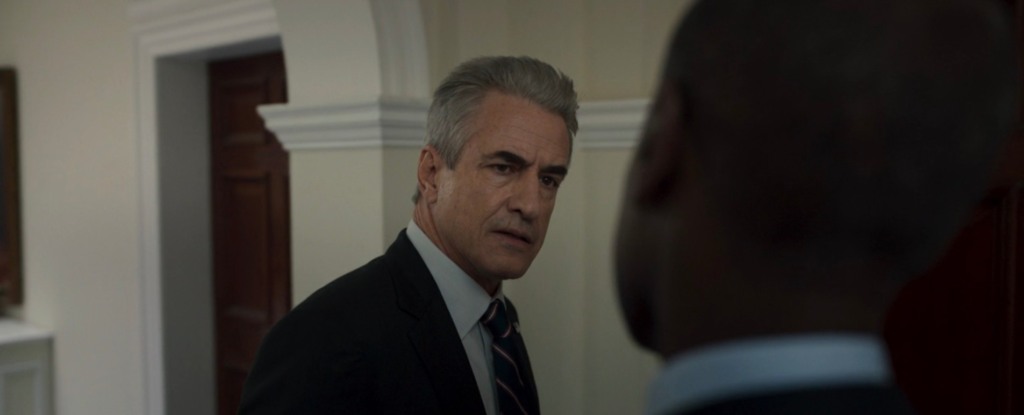 Dermot Mulroney