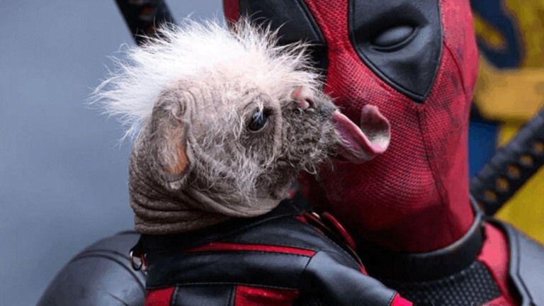 Dogpool e Deadpool