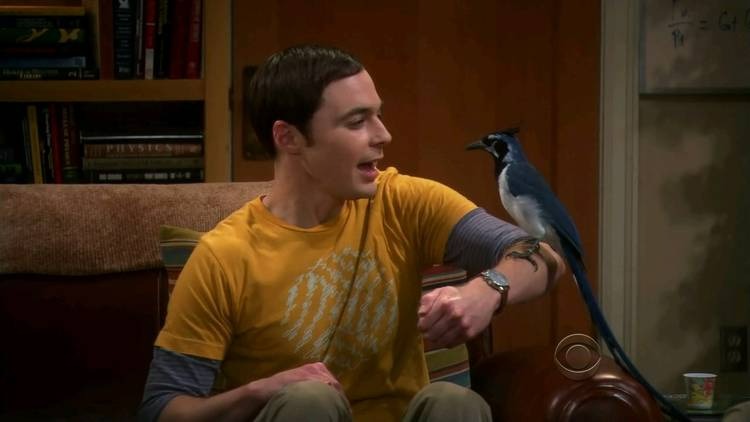 Sheldon em The Big Bang Theory