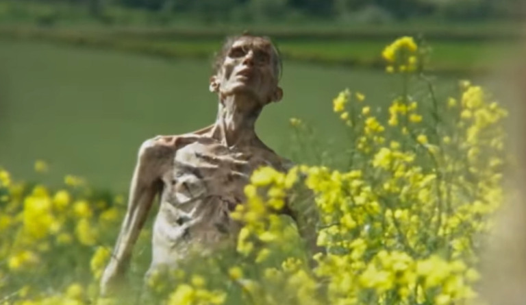 Ator de Extermínio: A Evolução revela se personagem de Cillian Murphy se transformou em zumbi
